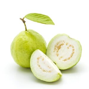 Common Guava