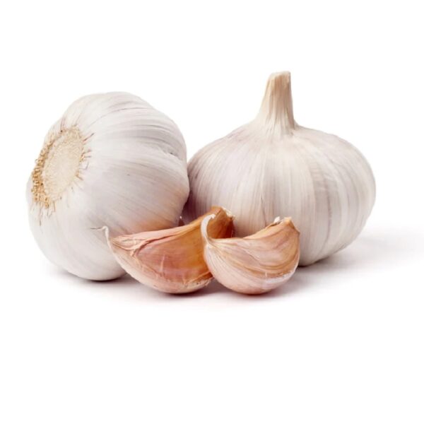 Indian Garlic