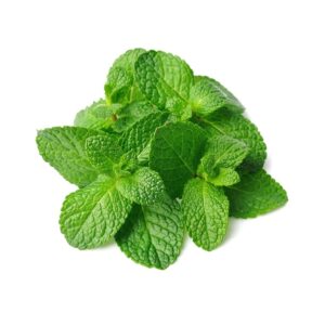 Mint Leaf